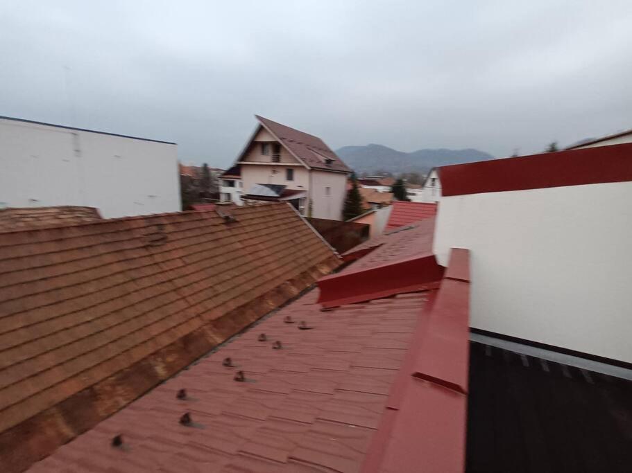 Old Town Studio 1 Apartment Nr 4 Бая-Маре Екстер'єр фото